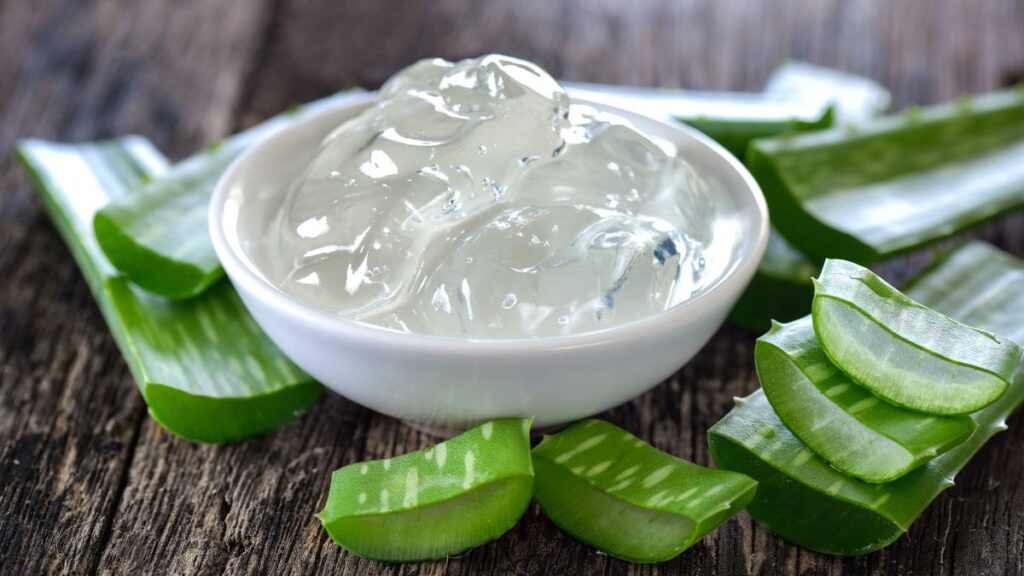 Is Aloe Vera Gel Good for Erectile Dysfunction? (Expert Answer)
