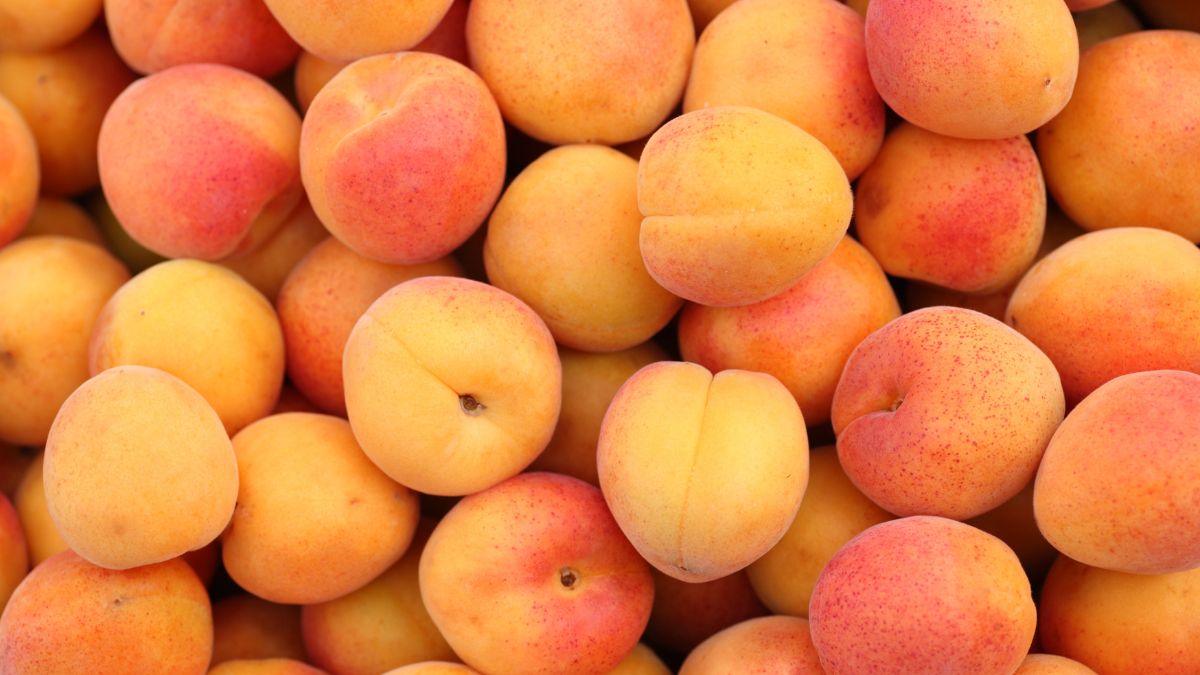 Are Apricots Good for Anemia? (Expert Answer)