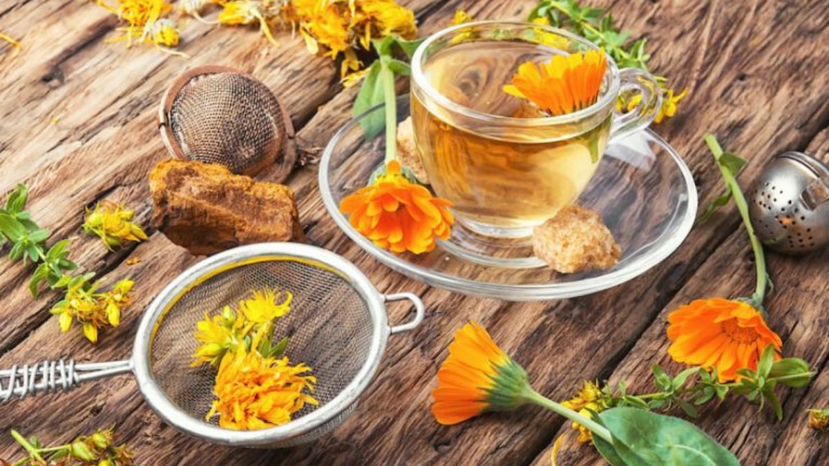 Is Arnica Tea Good for Weight Loss? (Expert Answer)