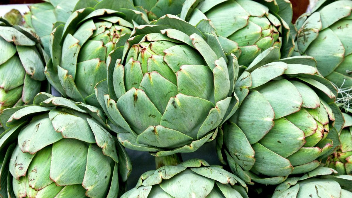Artichoke