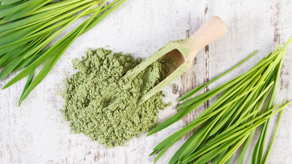 Barley Grass