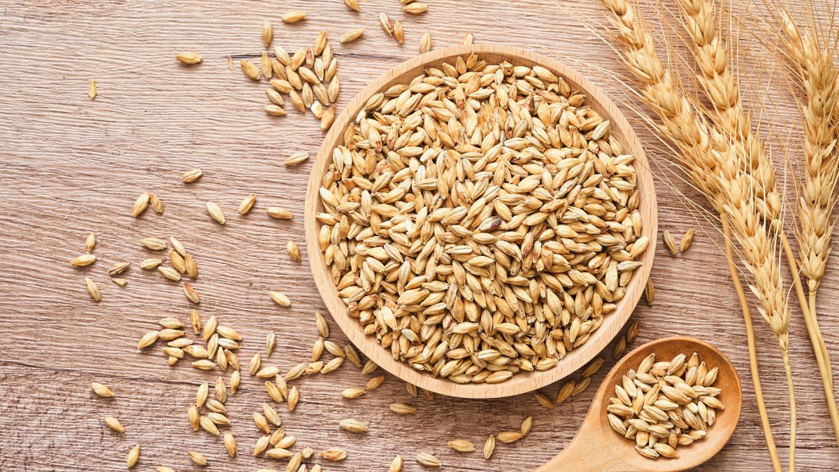 Barley