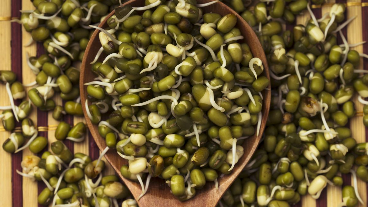 Are Bean Sprouts Good for Hypothyroidism? (Expert Answer) NutritionCrown