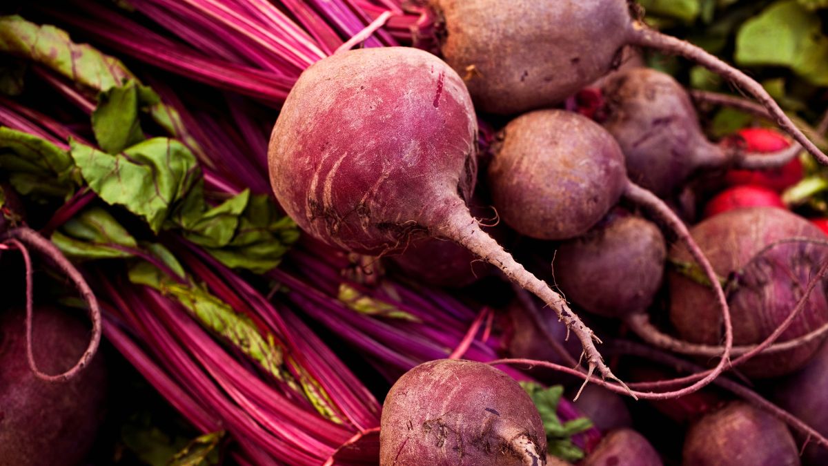 Are Beets Good for CKD? (Expert Answer)
