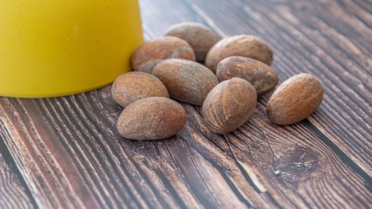 Is Bitter Kola Good for High Blood Pressure? (Expert Answer)