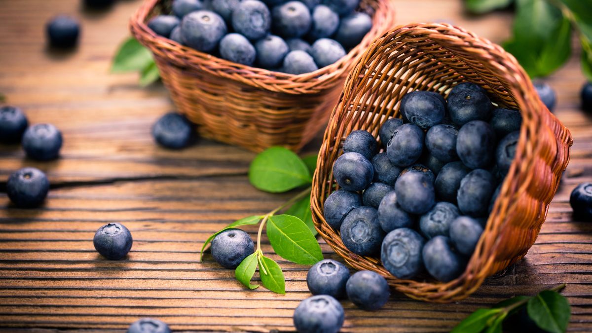 Are Blueberries Good for Weight Gain? (Expert Answer)