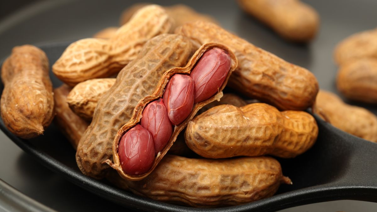 Boiled Peanuts