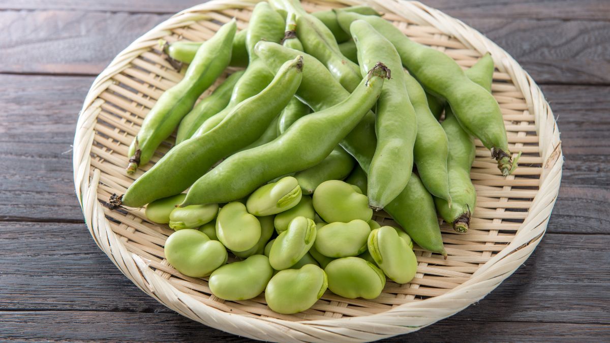Is Broad Beans Good for Diabetes? (Expert Answer)