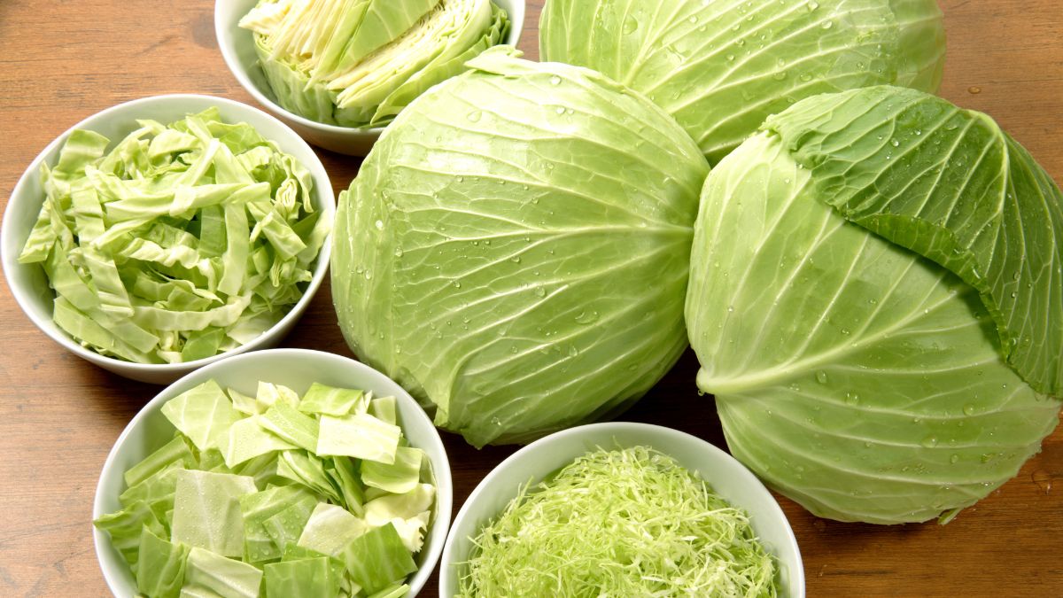 Cabbage