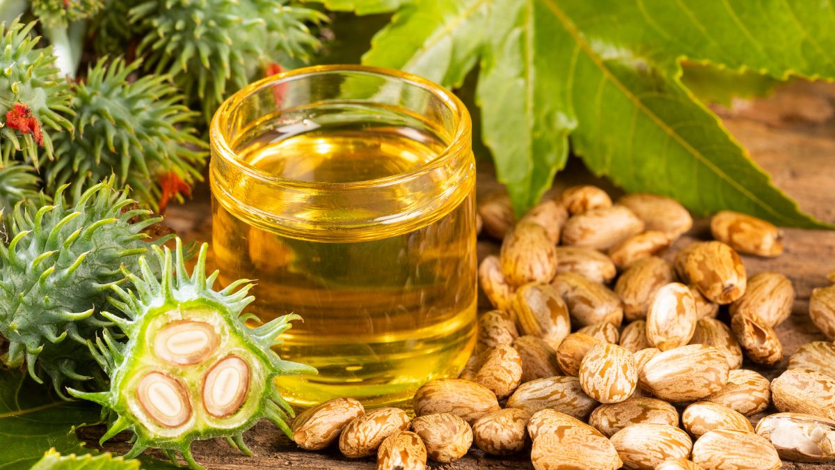 Is Castor Oil Good for Gout? (Expert Answer)