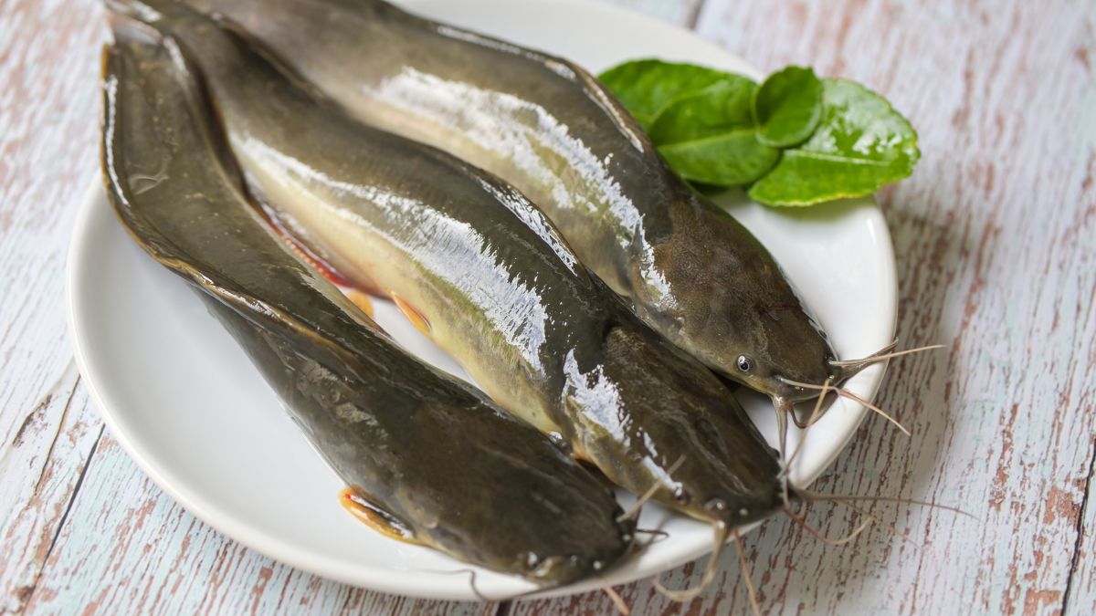 Is Catfish Good for High Blood Pressure? (Expert Answer)