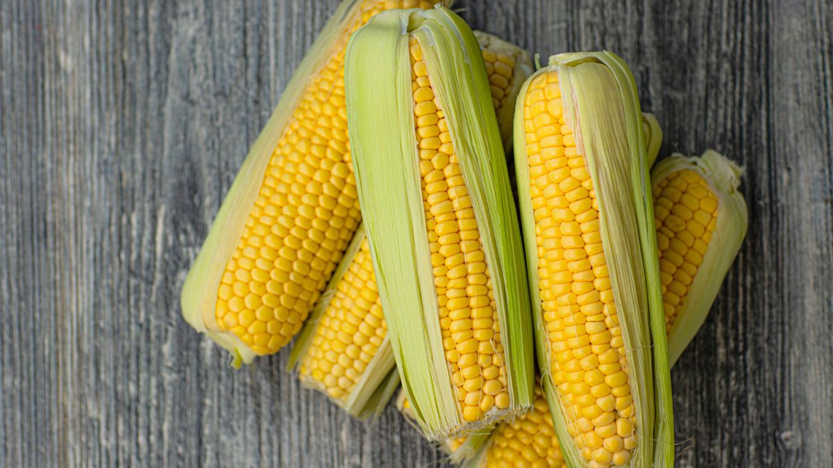 Is Corn Good for Hypothyroidism? (Expert Answer)