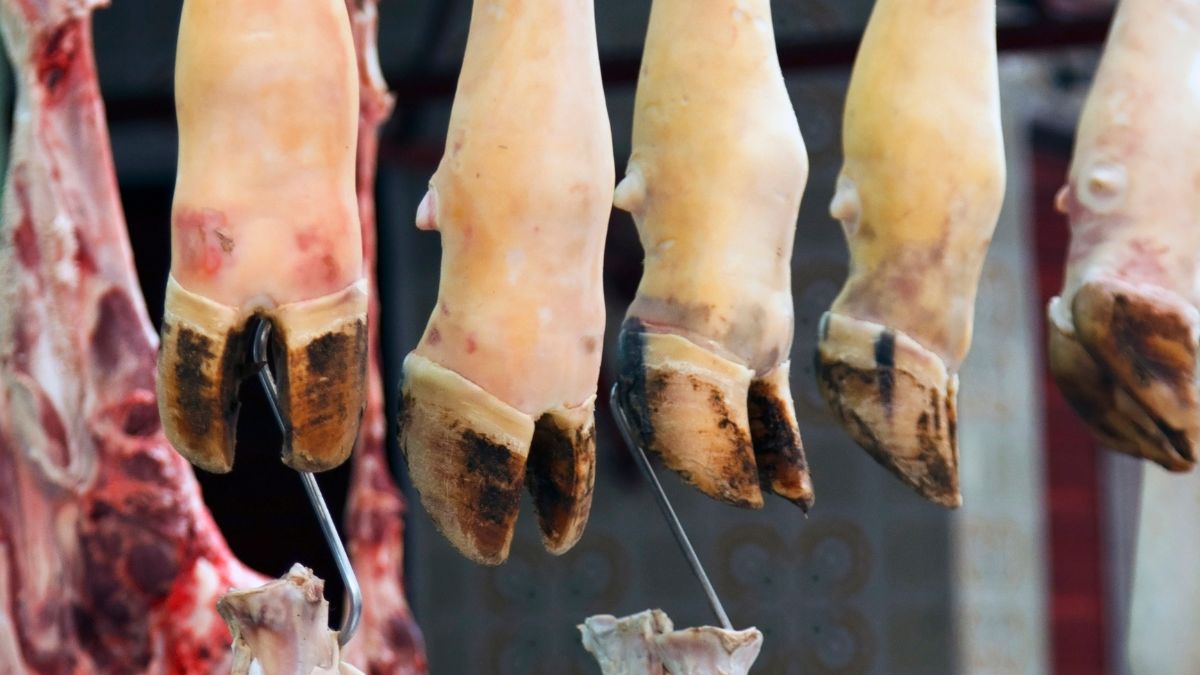 Cow Foot