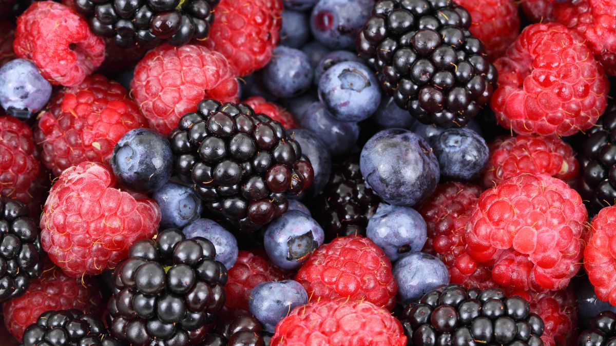 Cowplant Berry