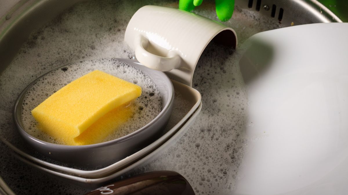 Dish Soap
