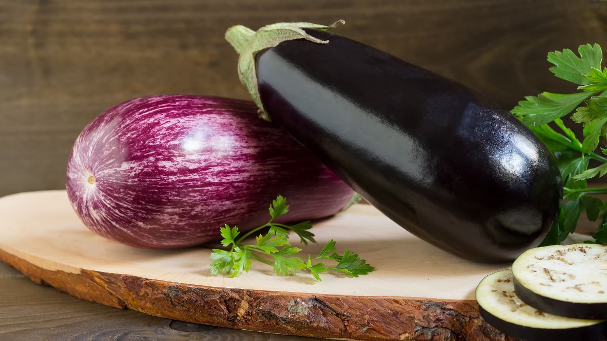 Eggplant