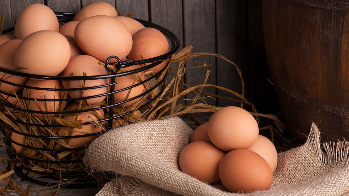 Eggs