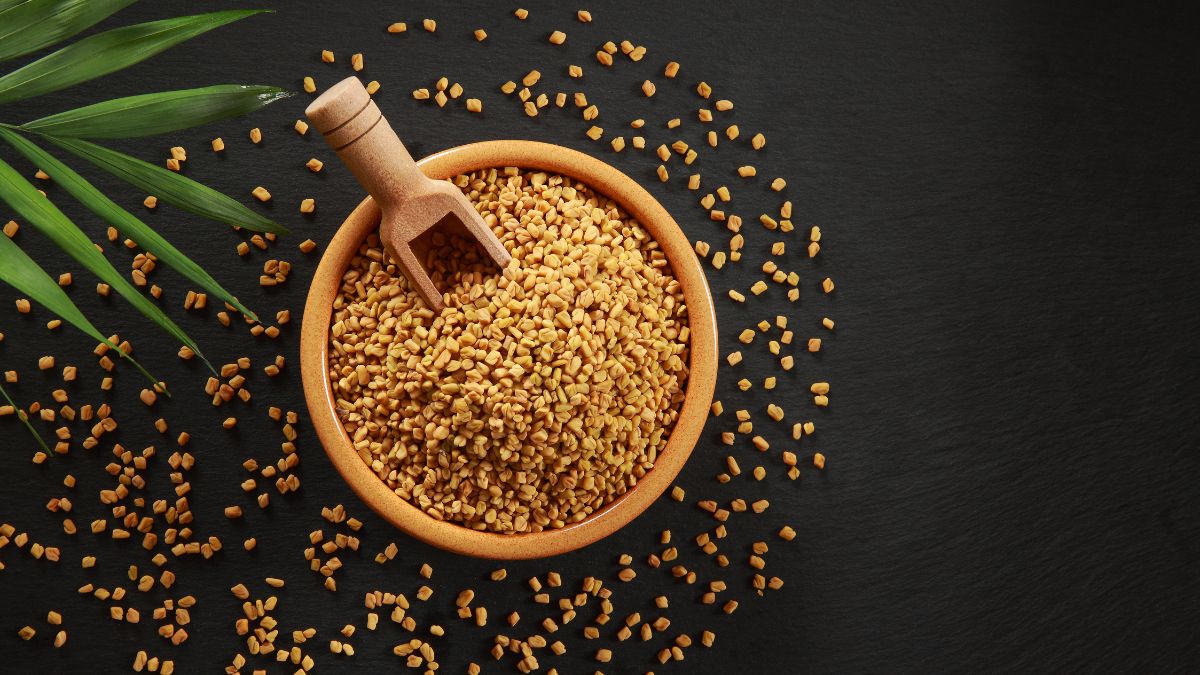 Fenugreek