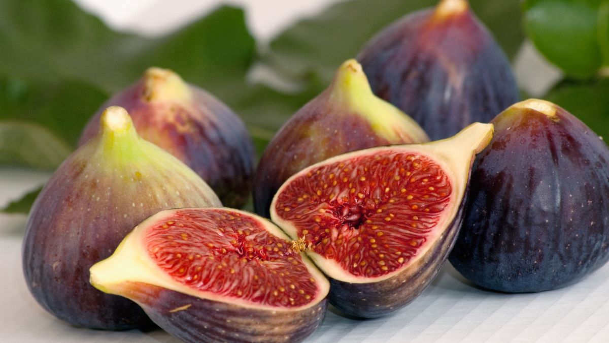 Are Figs Good for CKD? (Expert Answer)