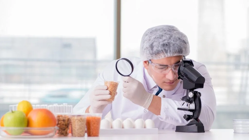 Male researcher in white lab coat and hair net examining grain sample with magnifying glass and microscope near fresh foods