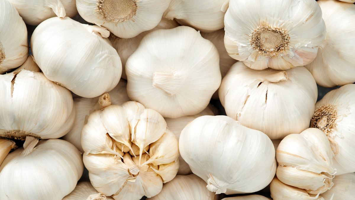 Is Garlic Good for IBS? (Expert Answer)