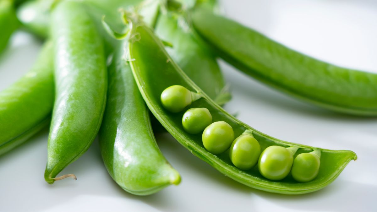 Are Harvest Snaps Good for Weight Loss? (Expert Answer)