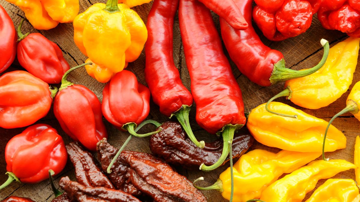 Are Hot Peppers Bad for Hemorrhoids? (Expert Answer)