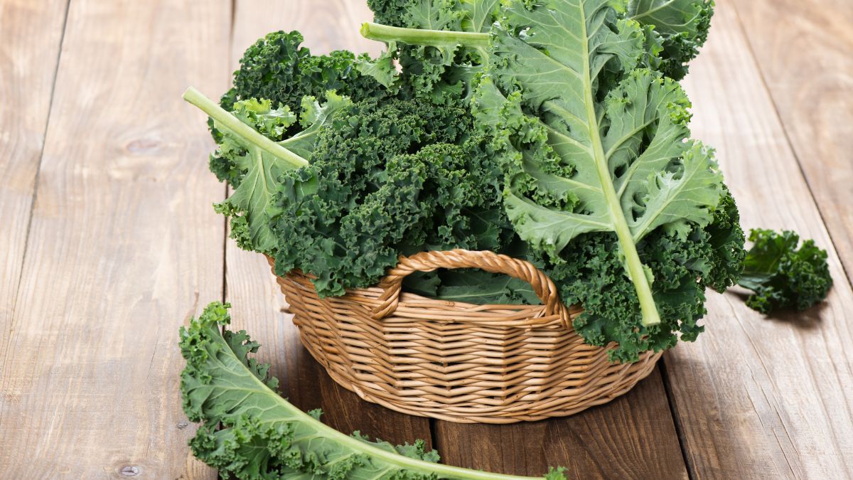 Is Kale Bad For Hypothyroidism Expert Answer NutritionCrown is-kale-bad-for-hypothyroidism-expert-answer-nutritioncrown