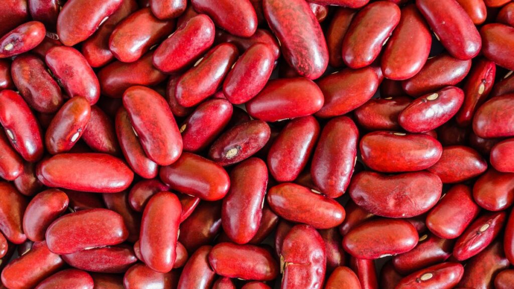 Are Kidney Beans Good For CKD Expert Answer are-kidney-beans-good-for-ckd-expert-answer