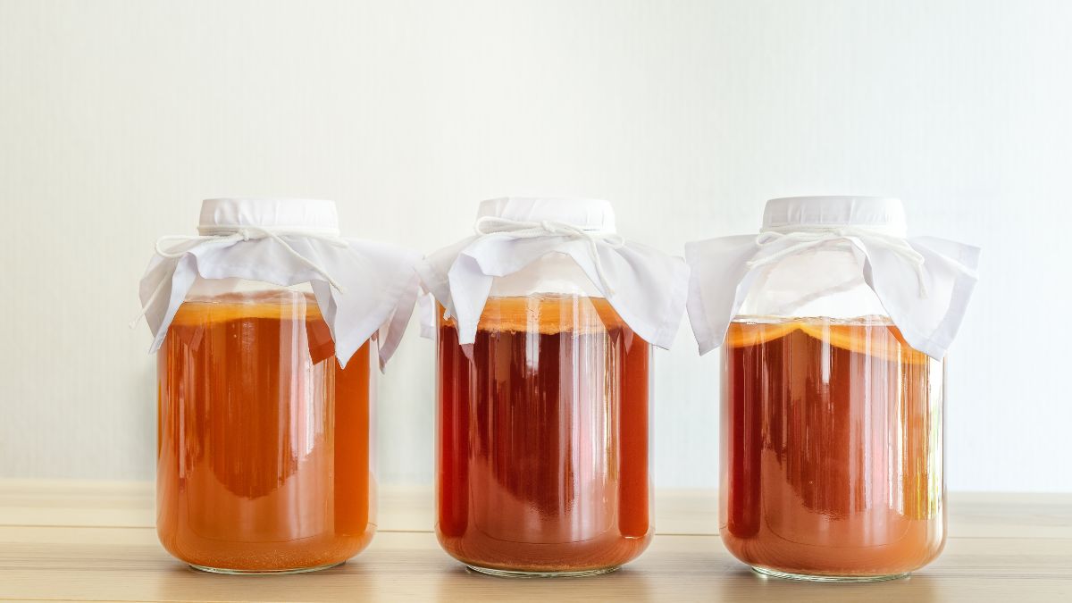 Is Kombucha Bad for IBS? (Expert Answer)