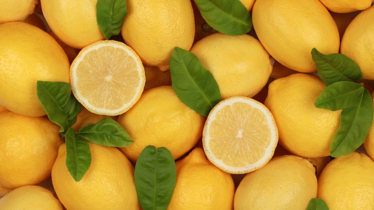 Lemon