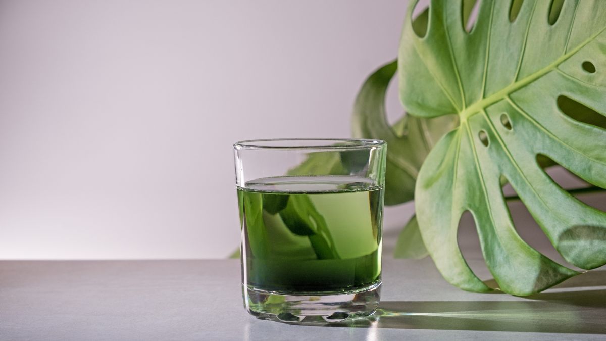 Liquid Chlorophyll