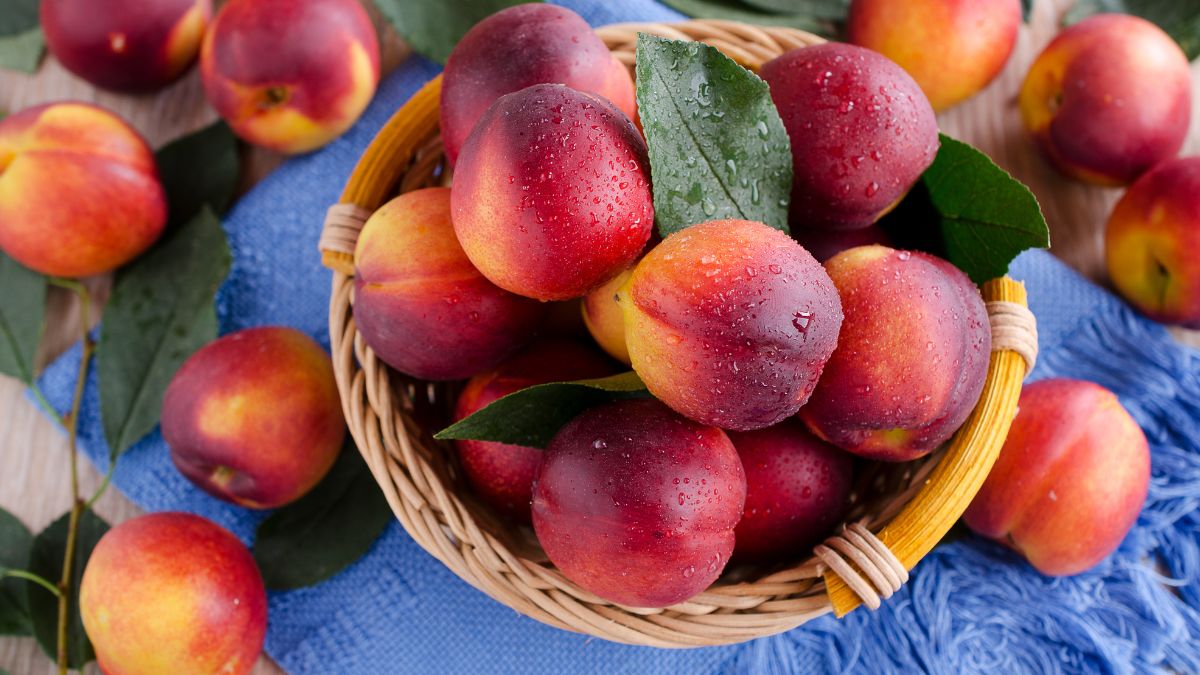 Are Nectarines Good for CKD? (Expert Answer)