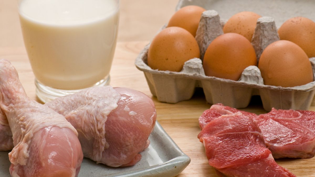 Can We Eat Chicken and Milk Together? (Expert Answer) NutritionCrown