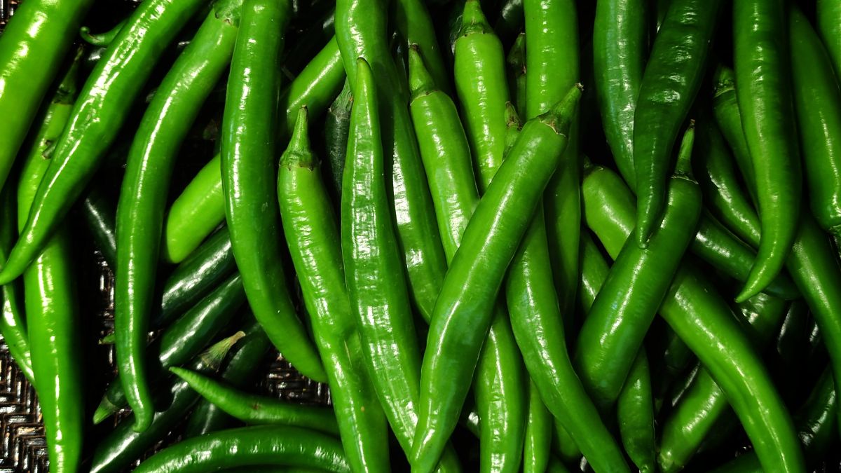 Green Chili