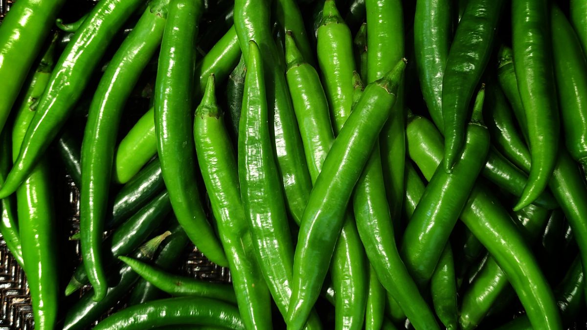 Is Green Chili Keto Friendly Expert Answer 