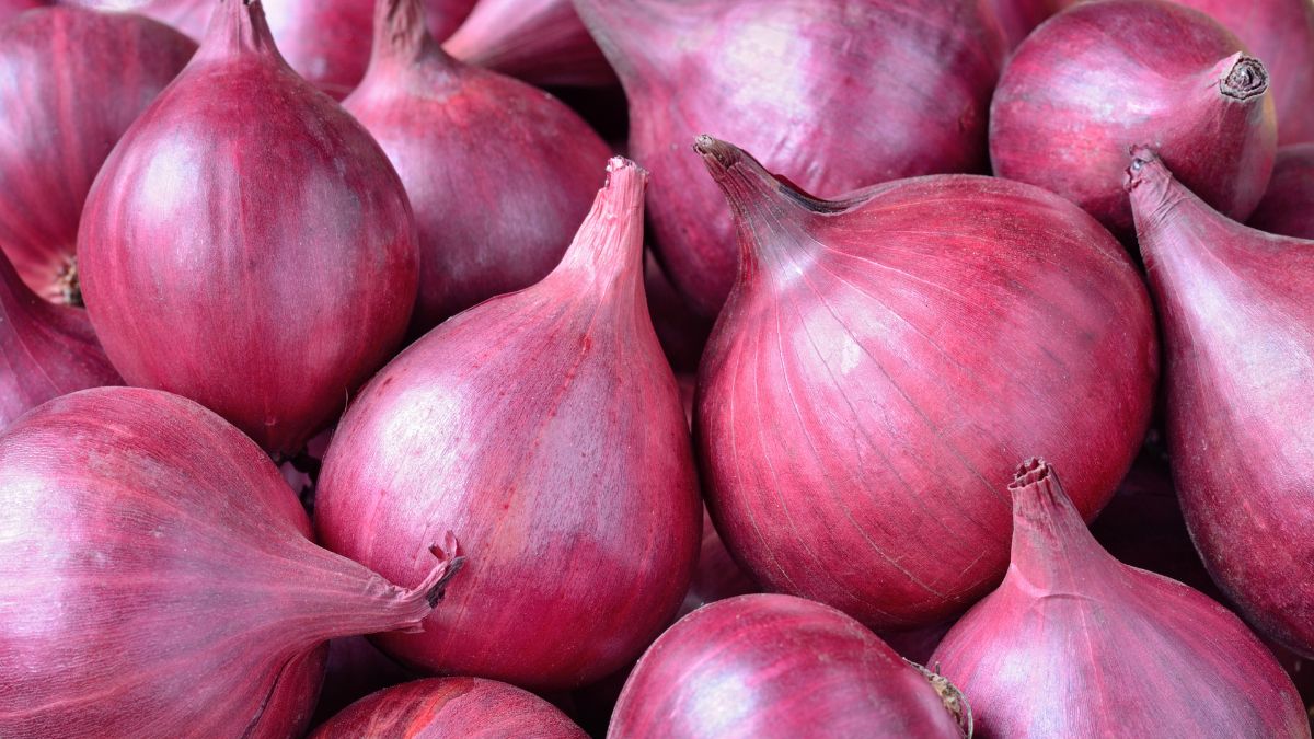 Onion