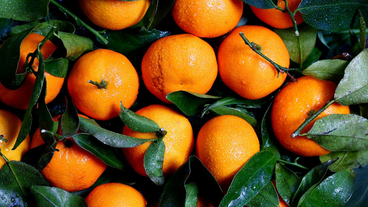 Are Oranges Good for Muscle Building? (Expert Answer)