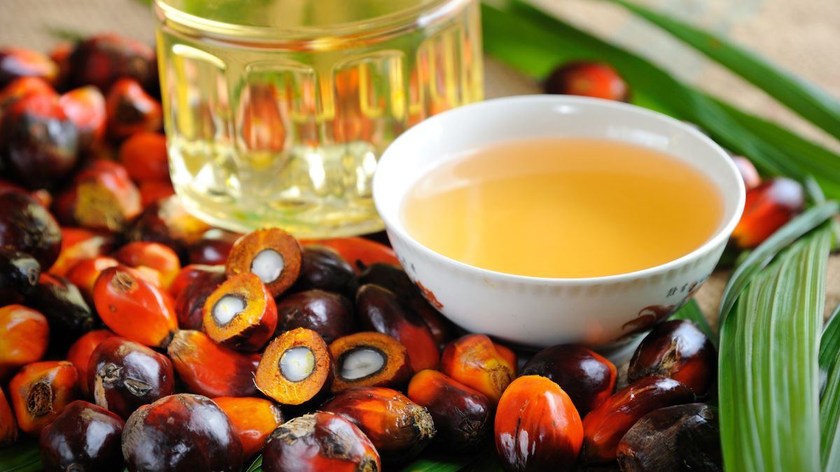 Is Palm Oil Good for Fatty Liver? (Expert Answer)