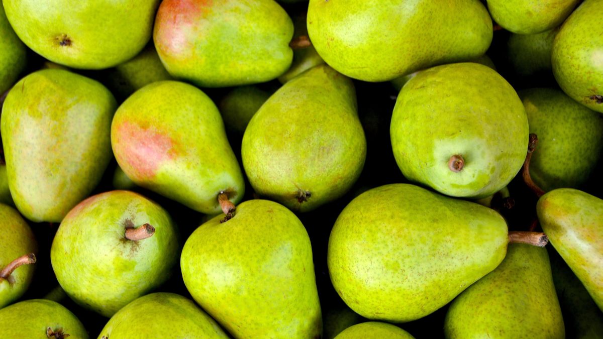 Is Pear Good for PCOS? (Expert Answer)
