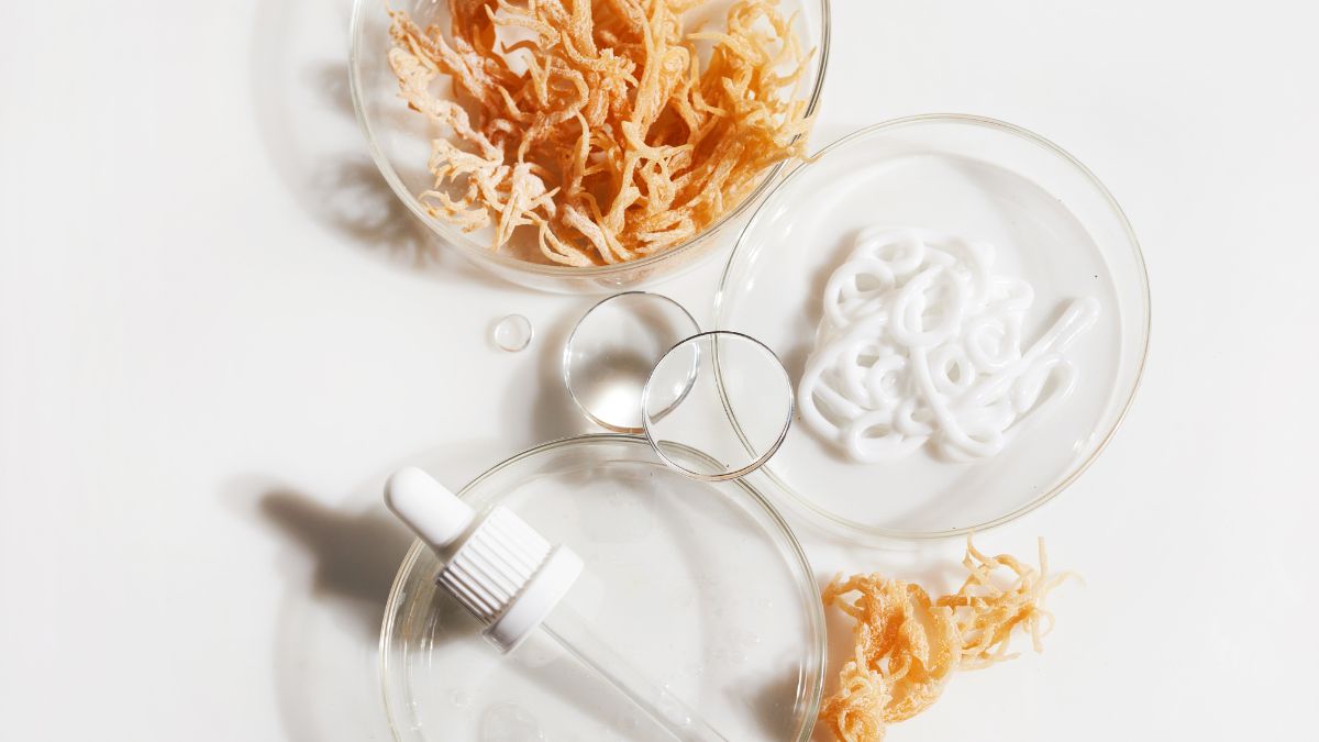 Sea Moss