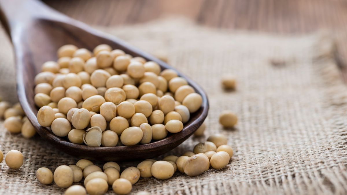 Is Soy Protein Good for Muscle Building? (Expert Answer)