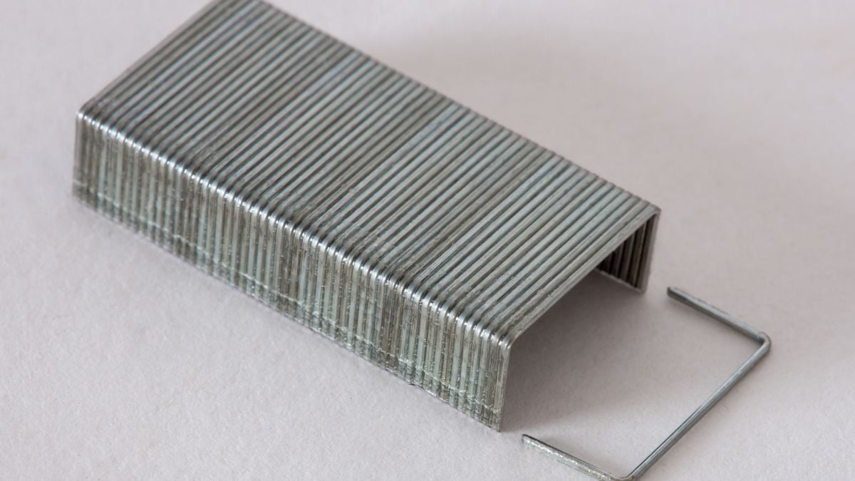 Staple