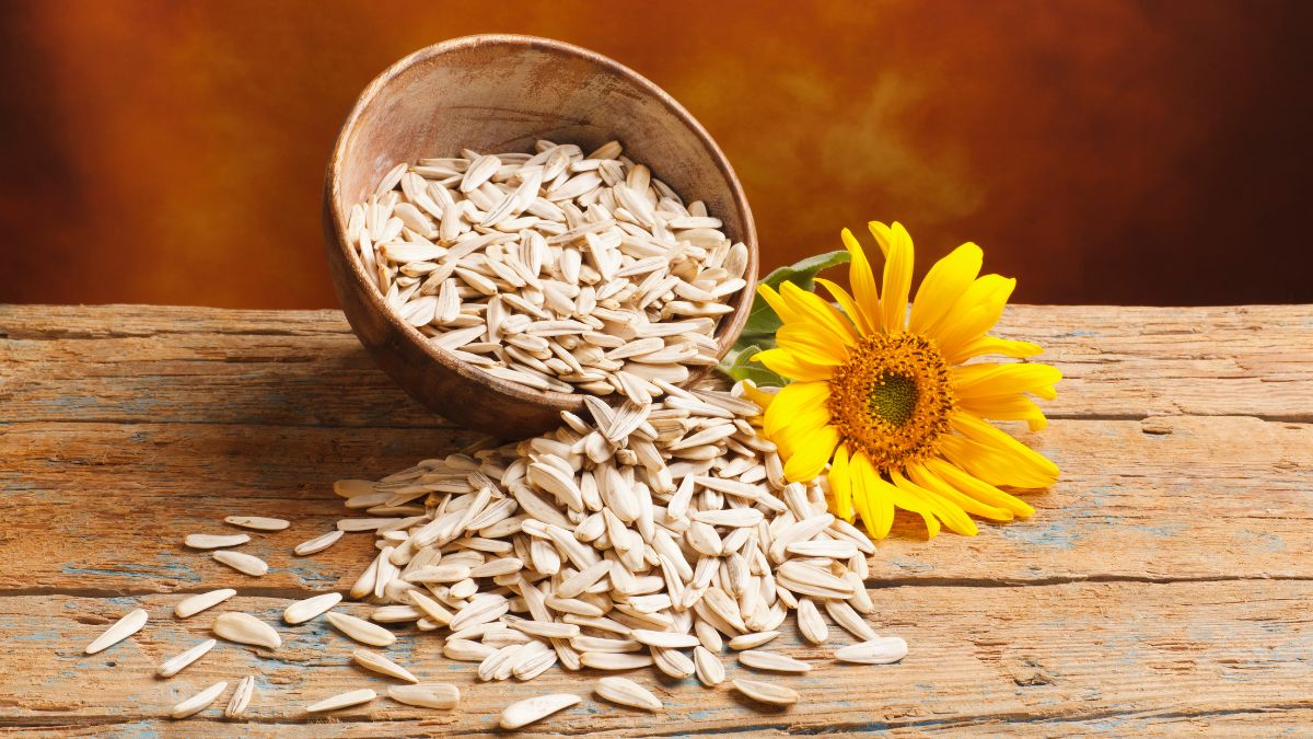 Sunflower Seed