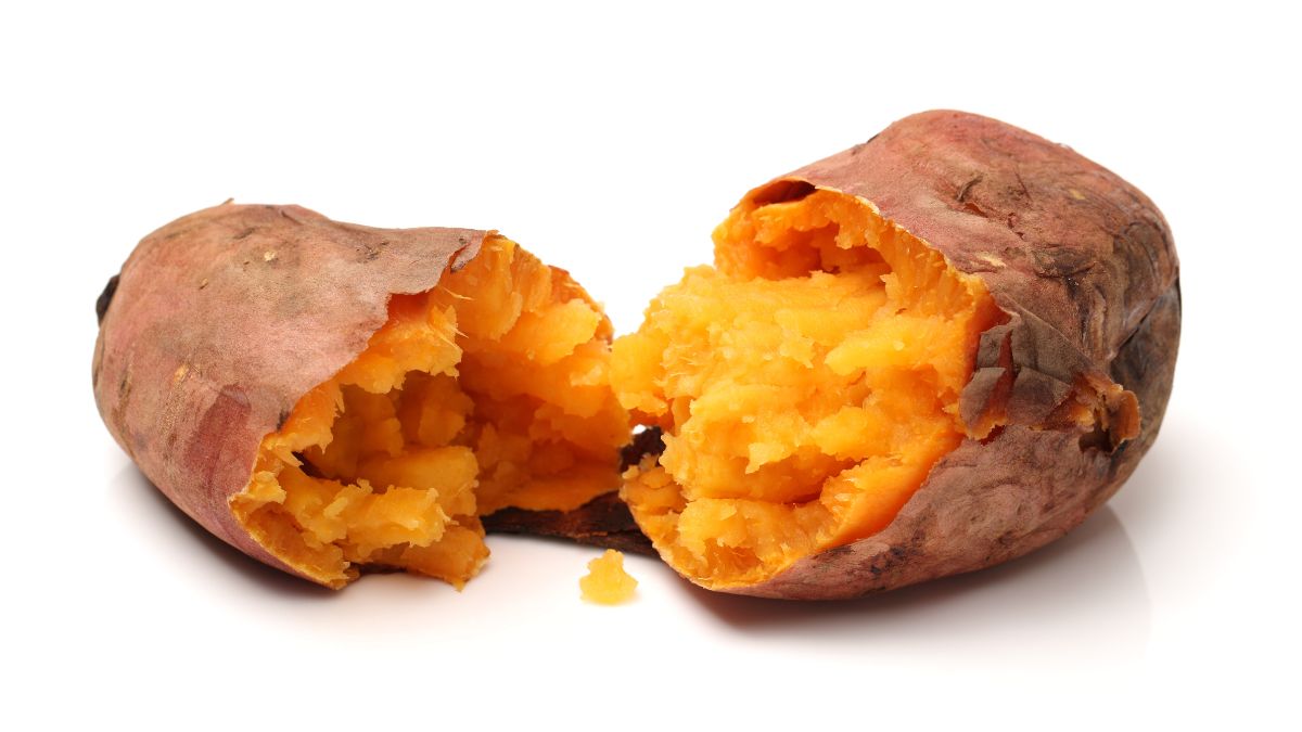 Sweet Potato