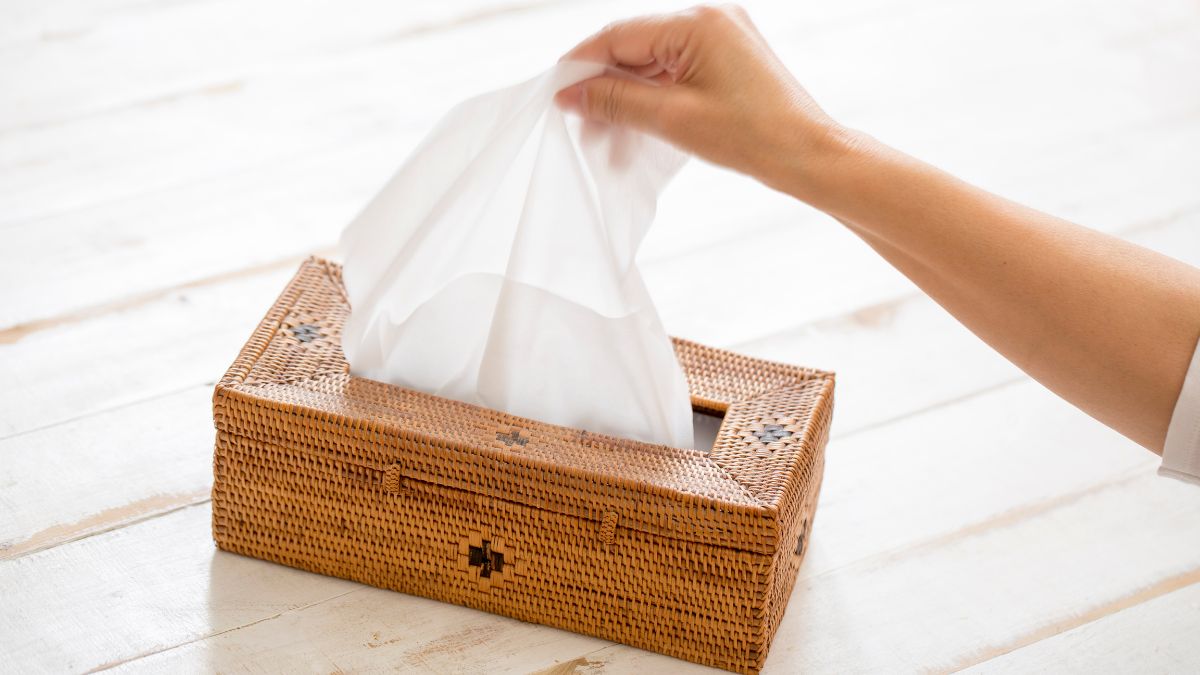 Tissue
