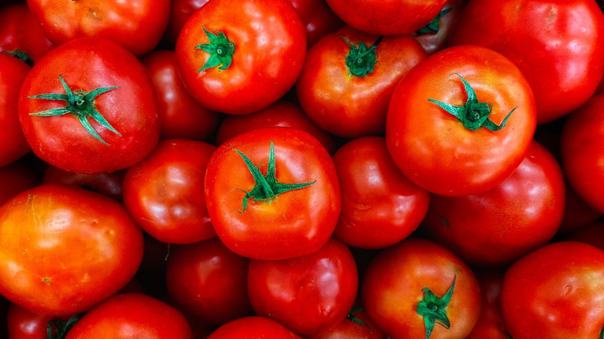 Is Tomato Good for Fatty Liver? (Expert Answer)