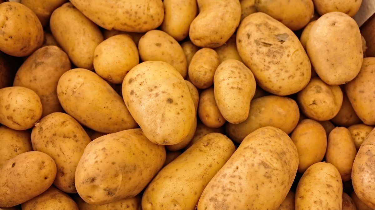 Undercooked Potatoes