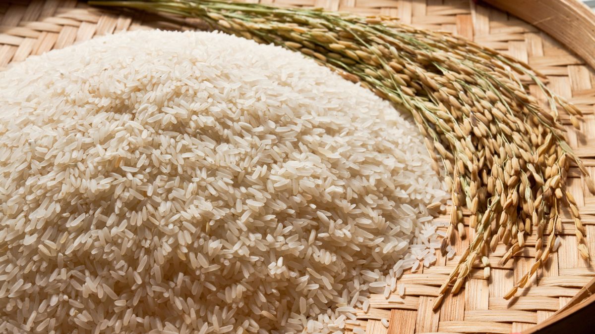 Undercooked Rice