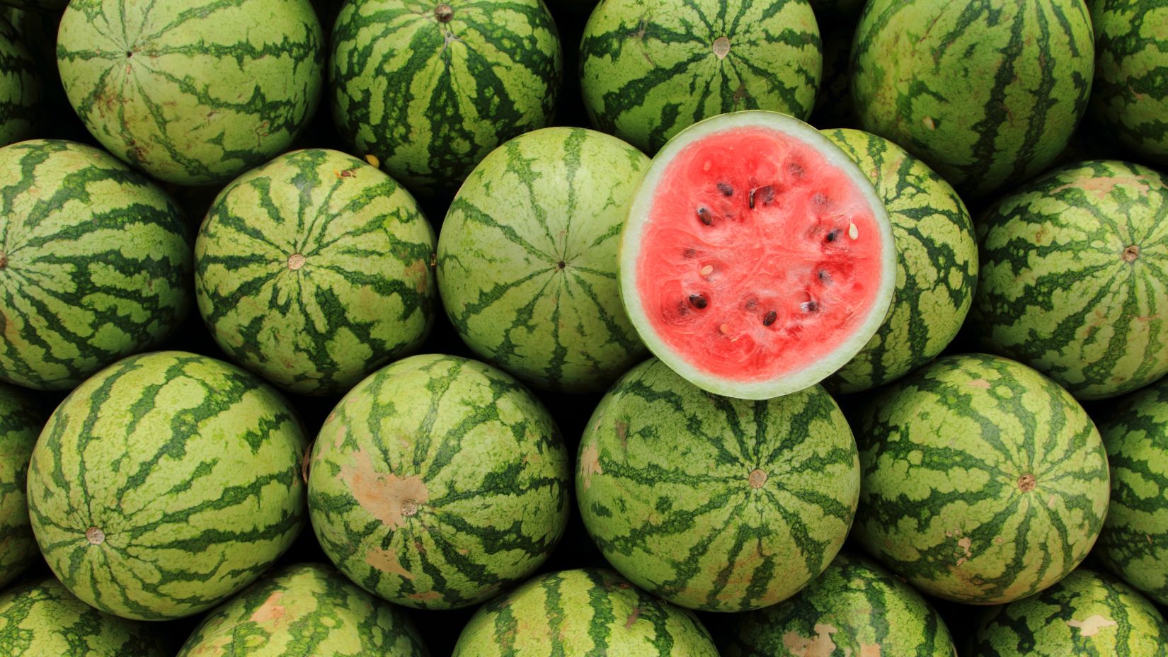 Watermelon